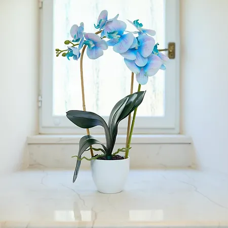 Doria Apartment